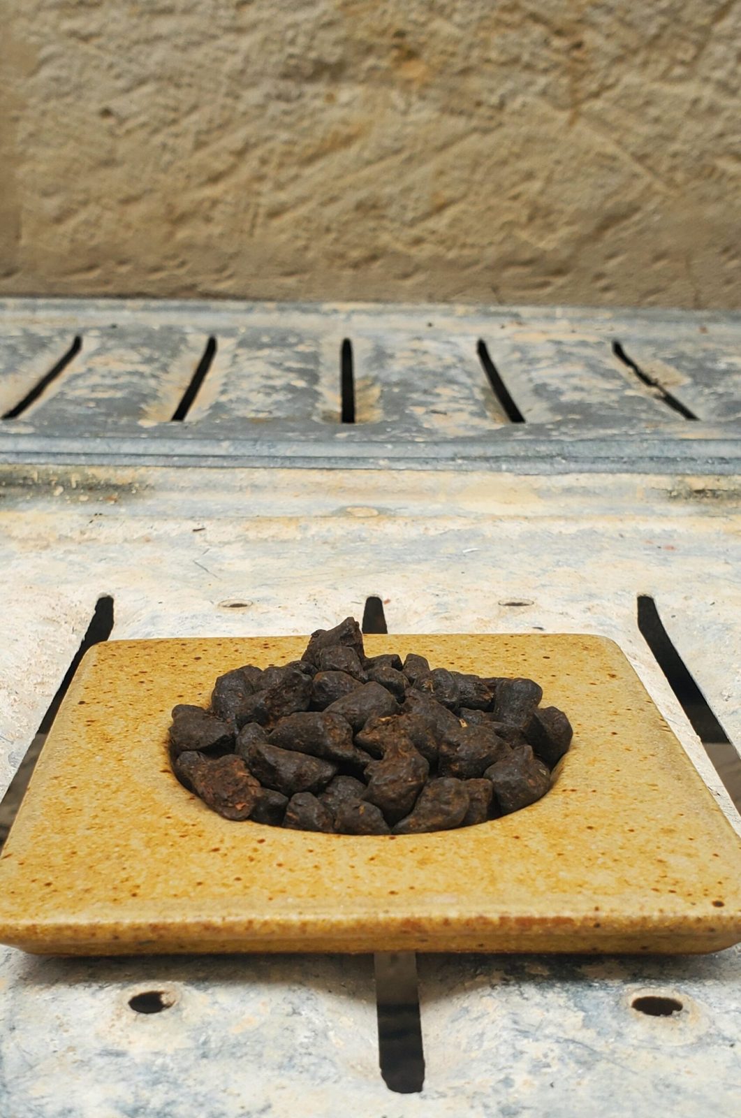 Xiao Pu Erh - photo 2